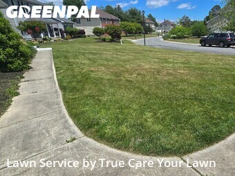 Lawn Maintenance nearby Dover, DE, 