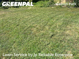 Yard Mowing nearby St. Louis, IL, 