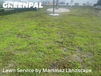 Yard Cutting nearby Leesburg, FL, 