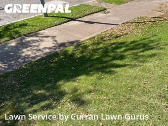 Lawn Maintenance nearby St. Louis, IL, 