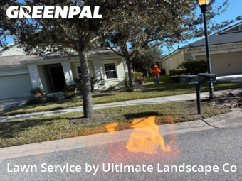 Yard Mowing in Apollo Beach, 33572, Yard Upkeep by Ultimate Landscape Co, work completed in Oct , 2025