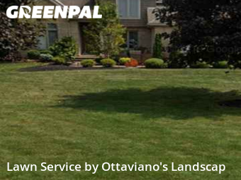 Lawn Mow nearby Marion, OH, 