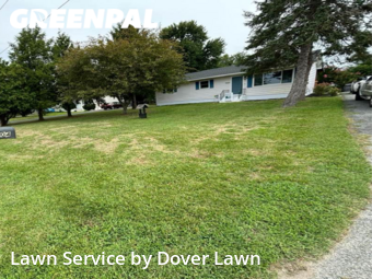 Grass Cutting nearby Felton, DE, 