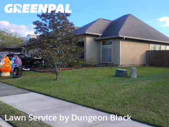 Grass Cut nearby Baton Rouge, LA, 
