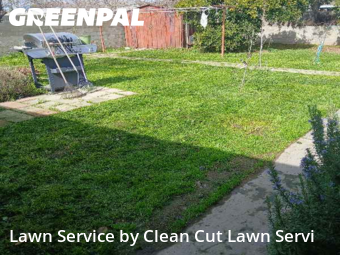 Yard Cutting nearby Fresno, CA, 