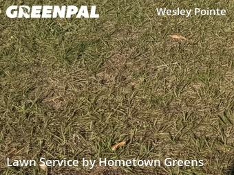 Lawn Mow nearby Wesley Chapel, FL, 