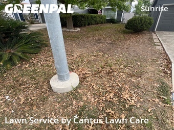 Lawn Mowing nearby San Antonio, TX, 