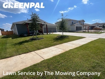 Grass Cut nearby Terrell, TX, 
