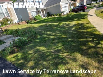 Lawn Care Servicein Bolingbrook,60440,Lawn Cut by Terranova Landscape, work completed in Nov , 2025