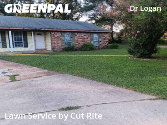 Grass Cut nearby Arlington, AR, 