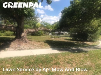 Grass Cutting nearby Winter Springs, FL, 