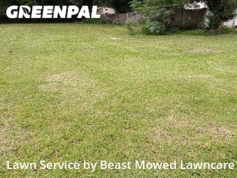 Yard Mowing nearby St Petersburg, FL, 