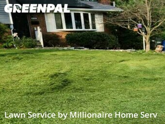 Lawn Maintenance nearby Fairfax, VA, 