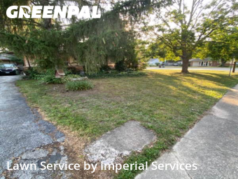 Lawn Care Service nearby Park Forest, IL, 