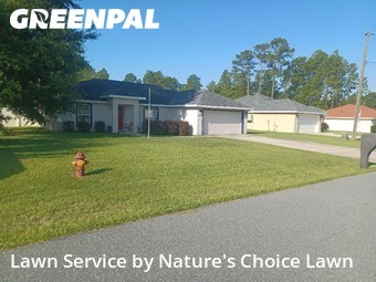 Grass Cutting nearby Ocala, FL, 