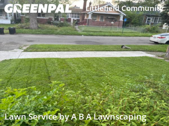 Lawn Mowing Service nearby Detroit, MI, 