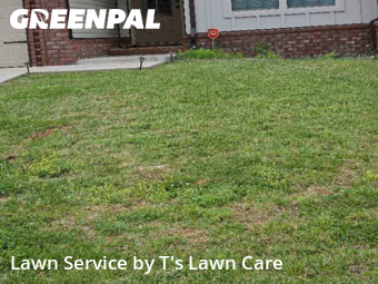 Yard Cutting nearby Clarksville, TN, 