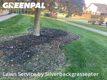 Lawn Care Service nearby Macomb, MI, 