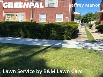 Lawn Mow nearby Chicago, IL, 