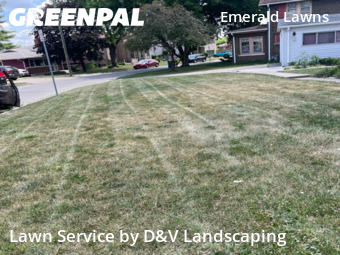 Yard Mowing nearby Joliet, IL, 