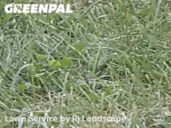 Lawn Cutting nearby Pittsburgh, PA, 