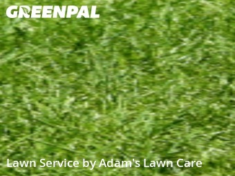 Lawn Mowing Service nearby St. Louis, MO, 