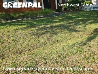 Lawn Mowing Service nearby Tampa, FL, 