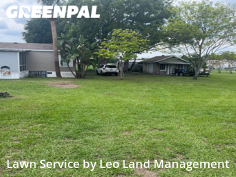 Lawn Mow nearby Plant City, FL, 