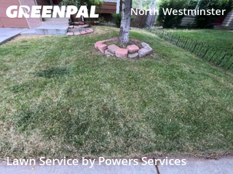 Lawn Cutin Westminster,80234,Lawn Care Service by Powers Services, work completed in Nov , 2025