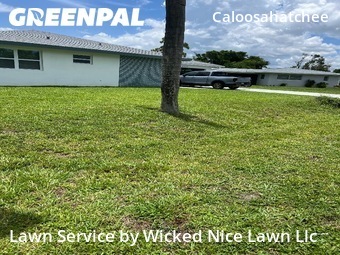 Lawn Maintenance nearby Cape Coral, FL, 