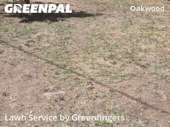 Affordable Landscaping In Los Angeles,90291,Landscaping Cleanup by Greenfingers , work completed in Jul , 2026