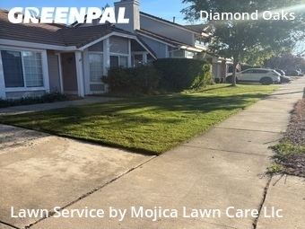 Work completed by grass-trimming-service-in-Roseville-CA