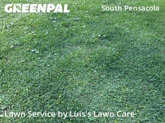 Grass Cutting nearby Pensacola, FL, 