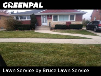 Backyard Mowing in Westchester, 60154, Mowing Services by Bruce Lawn Service, work completed in Dec , 2025