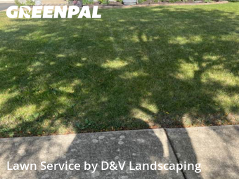Lawn Cut nearby Joliet, IL, 