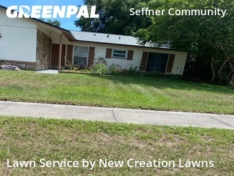 Lawn Care nearby Seffner, FL, 