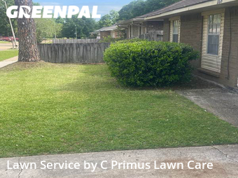 Grass Cutting nearby Baton Rouge, LA, 