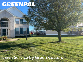 Lawn Mow nearby Westfield, IN, 