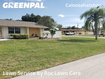 Lawn Cut nearby Cape Coral, FL, 