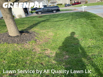 Grass Cut nearby Saint Charles, MO, 