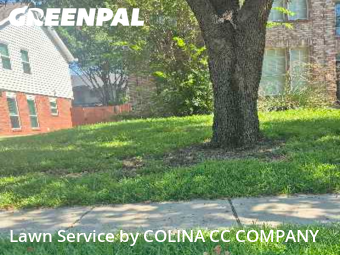 Lawn Cutting nearby Flower Mound, TX, 
