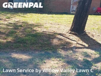Lawn Cutting nearby Cave Spring, VA, 
