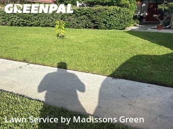 Grass Cutting nearby Wellington, FL, 