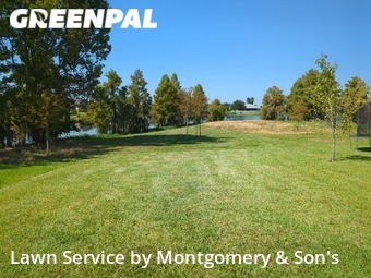 Lawn Care nearby Lakeland, FL, 
