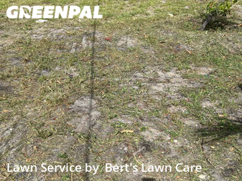 Yard Cutting nearby Lake Worth, FL, 