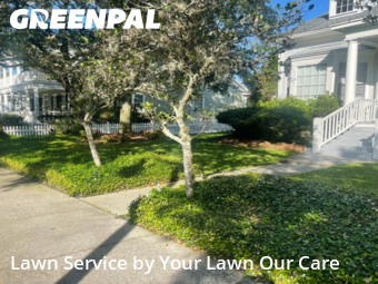 Yard Cutting in Celebration, 34747, Garden Trimming by Cnp Lawn Care, work completed in Oct , 2025