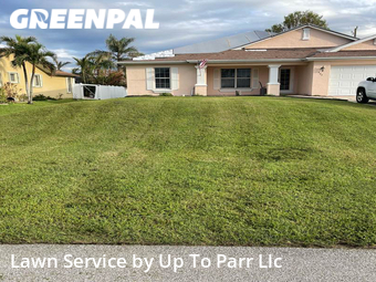 Lawn Mow nearby Cape Coral, FL, 