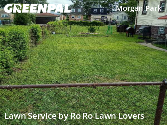 Lawn Mowing Service nearby Chicago, IL, 