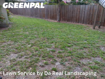 Yard Mowing nearby Palm Harbor, FL, 