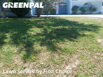 Lawn Service nearby Palm Coast, FL, 